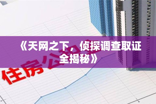 安溪《天网之下，侦探调查取证全揭秘》