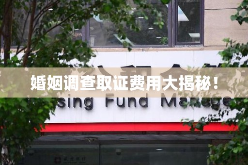 安溪婚姻调查取证费用大揭秘！