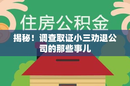 安溪揭秘！调查取证小三劝退公司的那些事儿
